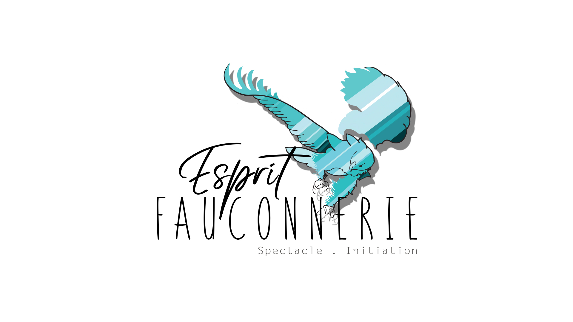 Logo Esprit Fauconnerie