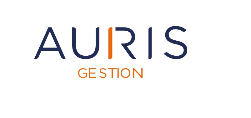 Logo Auris Gestion