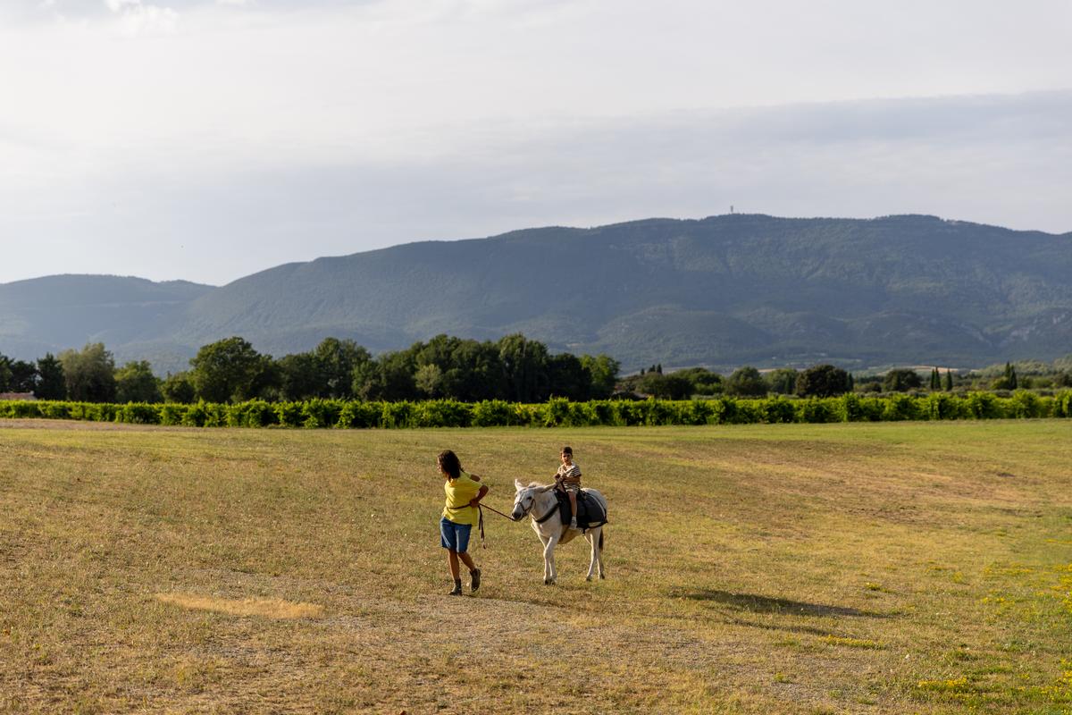 Balade à dos d'âne avec vue sur le Luberon